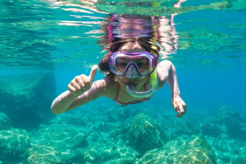 olbia-dolphin-watching-and-snorkeling-boat-tour-2