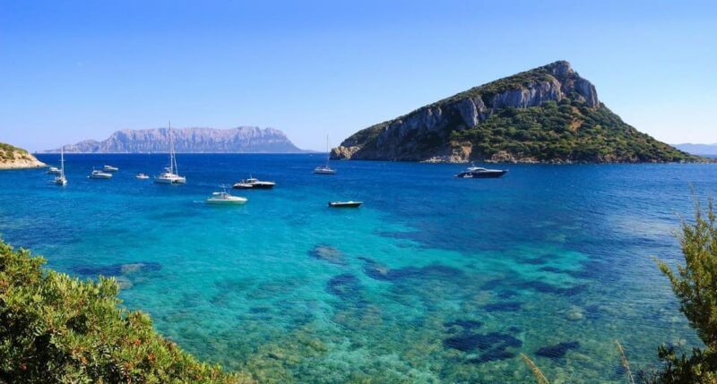olbia-dolphin-watching-and-snorkeling-boat-tour