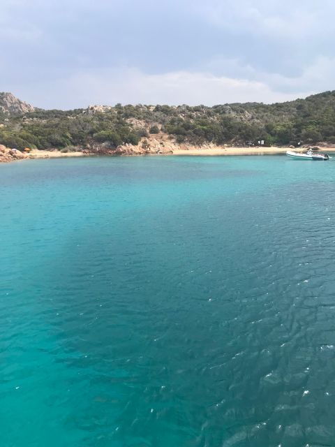 olbia-dolphin-watching-and-snorkeling-boat-tour