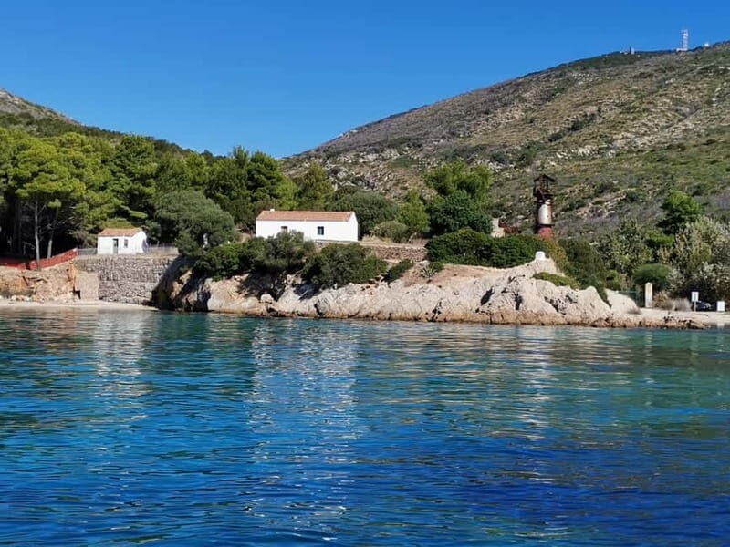 Olbia: Dolphin watching and snorkeling tour on Figarolo Island - Discover Sardinia’s Marine Charm with a Dolphin Watching and Snorkeling Tour on Figarolo Island