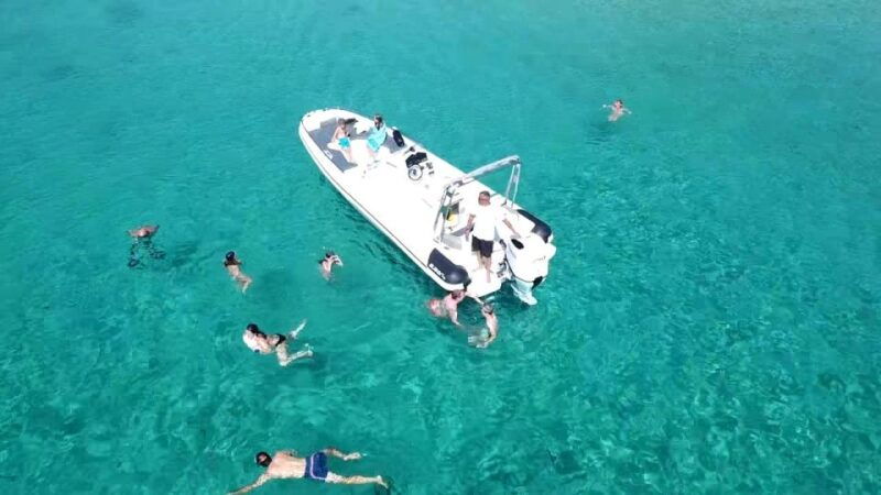 olbia-dolphin-watching-snorkeling-boat-tour-near-figarolo