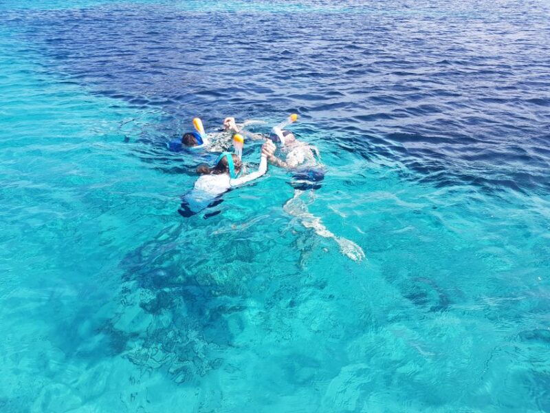 olbia-dolphin-watching-snorkeling-boat-tour-near-figarolo