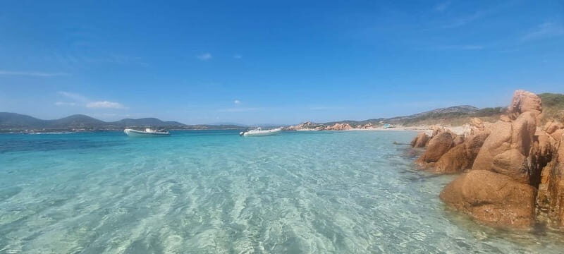 Olbia: Dolphin Watching & Swim with prosecco aperitif - Who Will Love This Tour