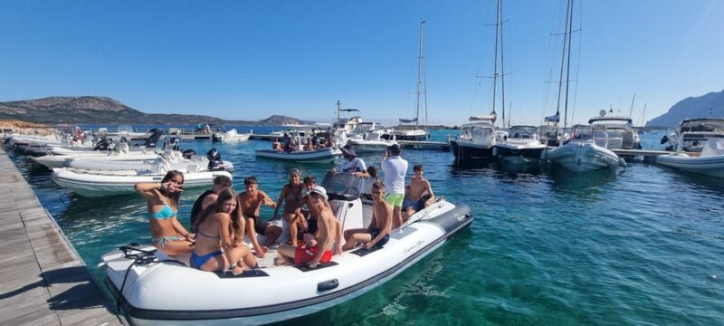 Olbia: Dolphin Watching & Swim with prosecco aperitif - FAQ
