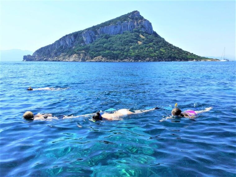 olbia-dolphin-watching-tour-with-figarolo-island-snorkeling