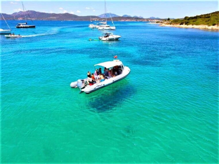 olbia-dolphin-watching-tour-with-figarolo-island-snorkeling