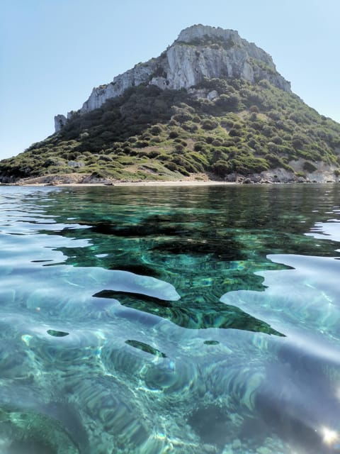 olbia-figarolo-island-tour-and-snorkeling-with-dolphin-sighting
