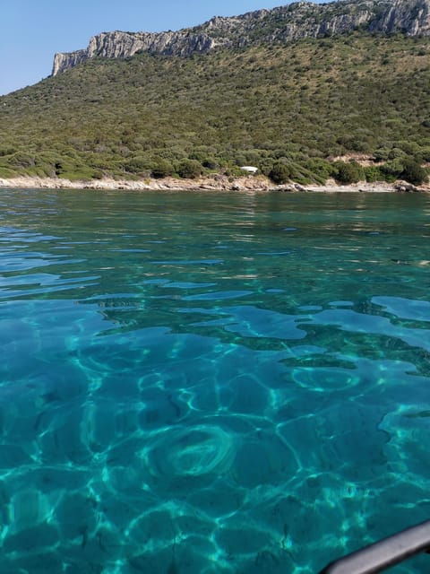 olbia-figarolo-island-tour-and-snorkeling-with-dolphin-sighting