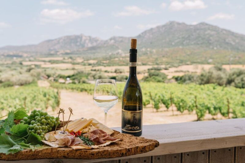 olbia-gallura-winery-guided-tour-with-tasting