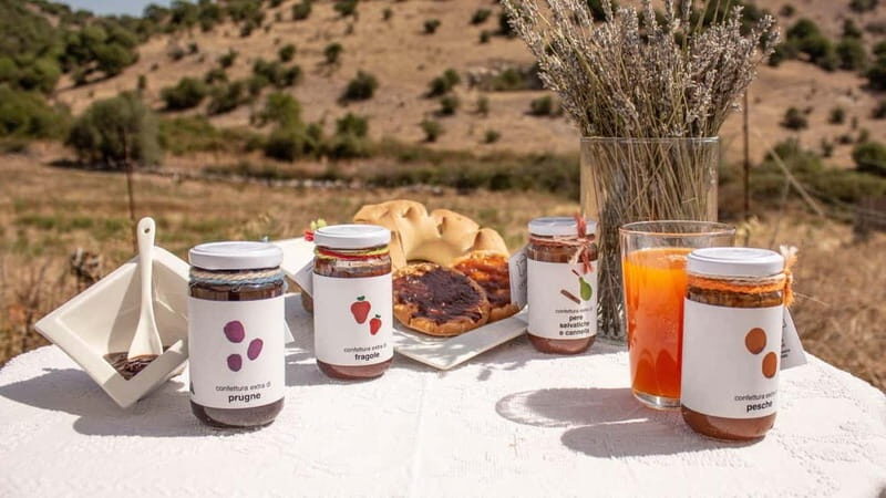 Olbia: jam tasting in Tula - Introduction