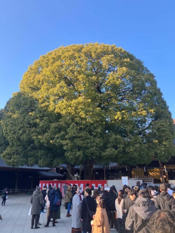 Old and new: Meiji Shrine, Takeshita Street & Shibuya Tour - Key Points