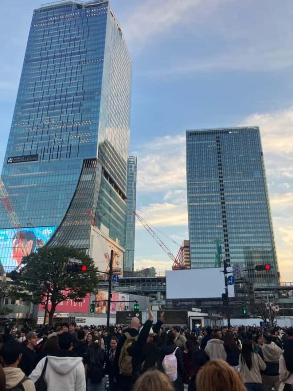 Old and new: Meiji Shrine, Takeshita Street & Shibuya Tour - A Closer Look at the Experience