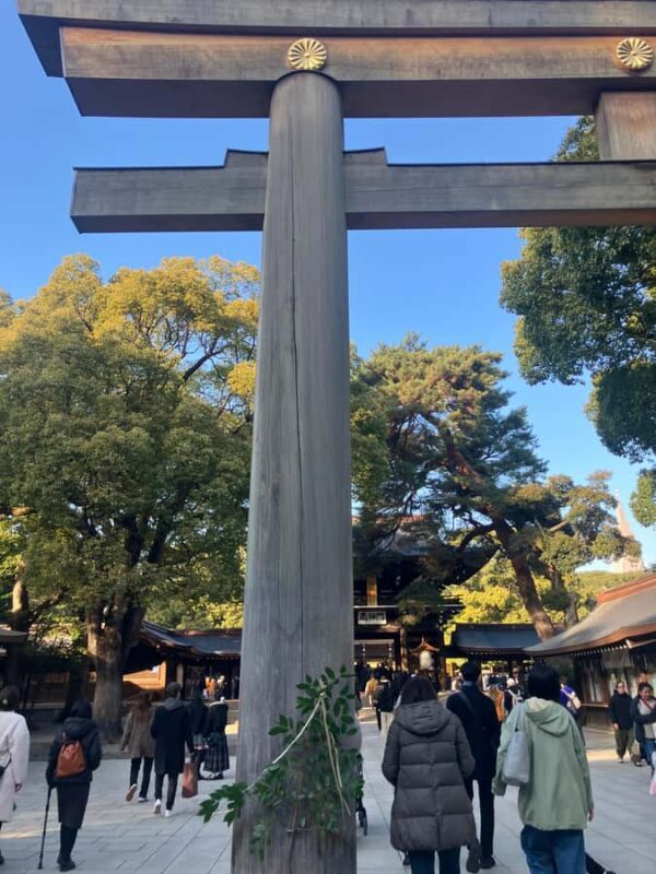 Old and new: Meiji Shrine, Takeshita Street & Shibuya Tour - Authentic Experiences & Insider Tips