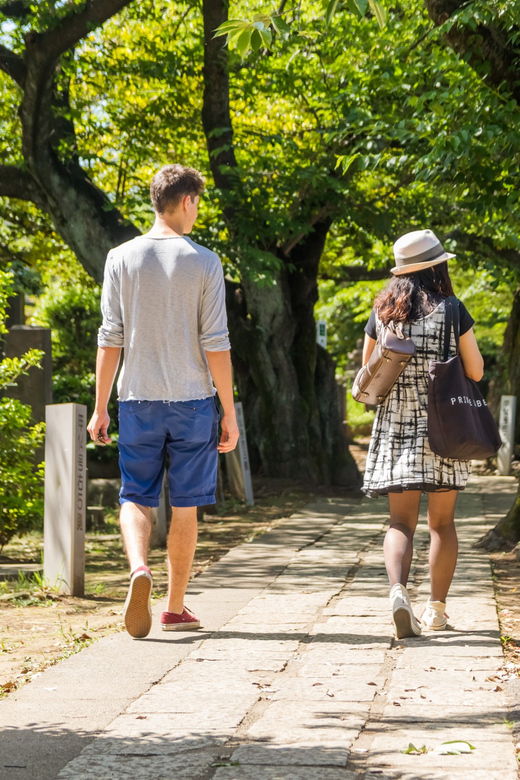 old-and-nostalgic-tokyo-half-day-yanaka-walking-tour