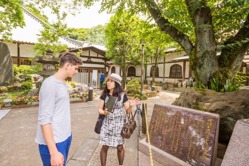 old-and-nostalgic-tokyo-half-day-yanaka-walking-tour