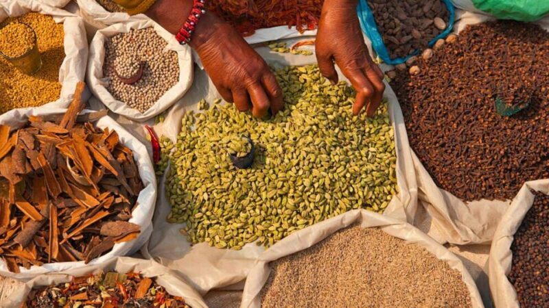 Old Delhi: 3-Hour Private Tuk-Tuk/Rickshaw Ride Tour - Practical Details and What to Expect