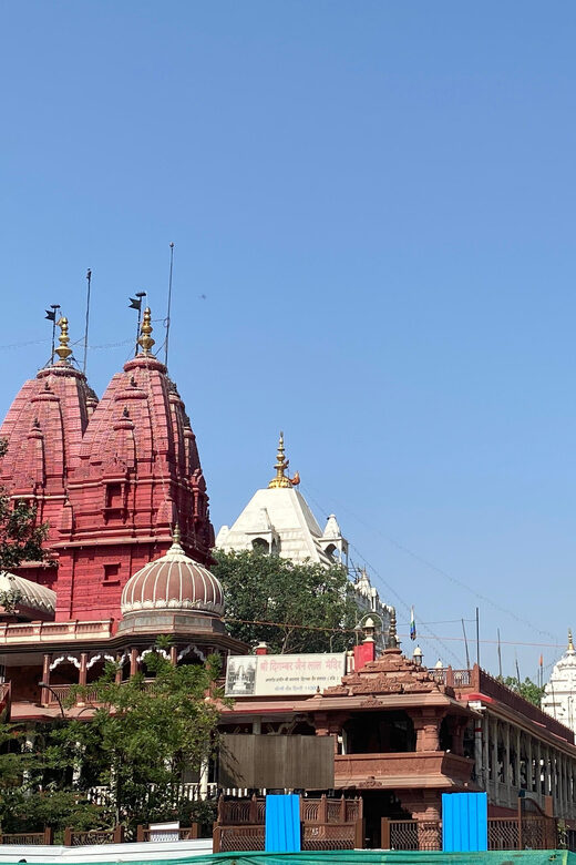 Old Delhi: Cultural & Historical Local Tour Experience - Key Points