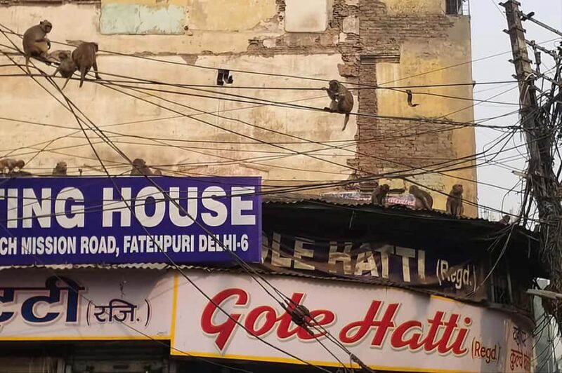 Old Delhi Tour With Rickshaw Ride and Street Food - The Sum Up