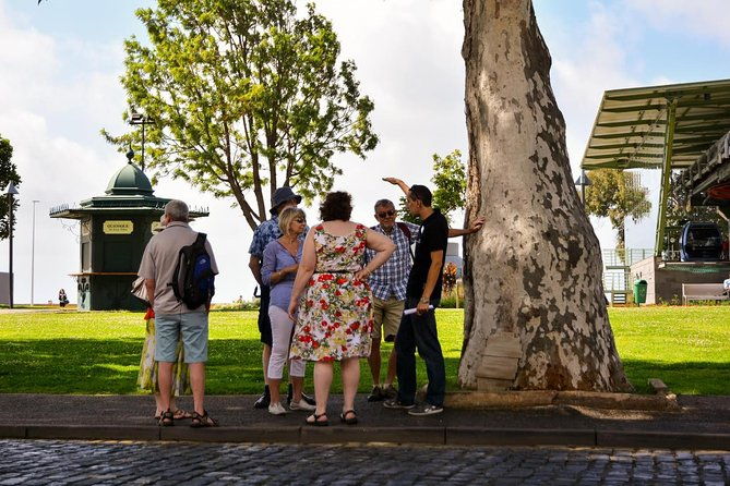 old-funchal-walking-tour