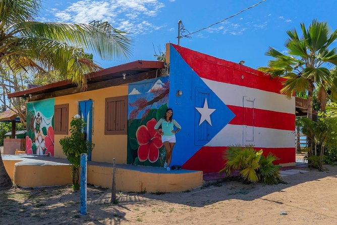 old-san-juan-loiza-african-town-full-day-tour-8-people-group