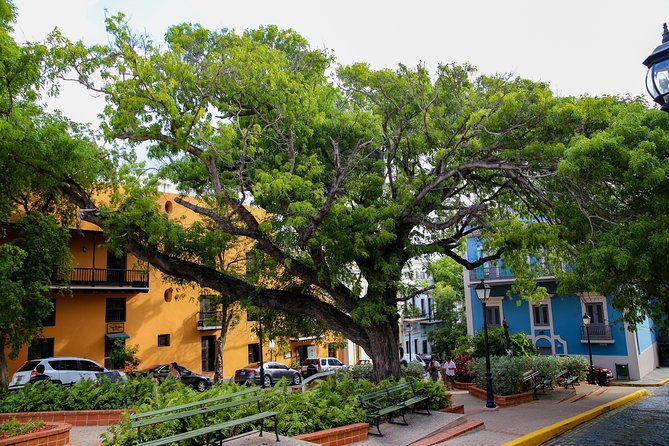 old-san-juan-loiza-african-town-full-day-tour-8-people-group