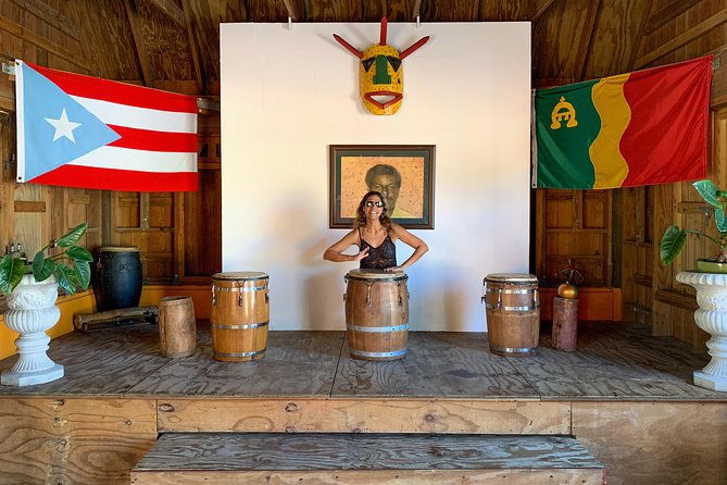 old-san-juan-loiza-african-town-full-day-tour-8-people-group