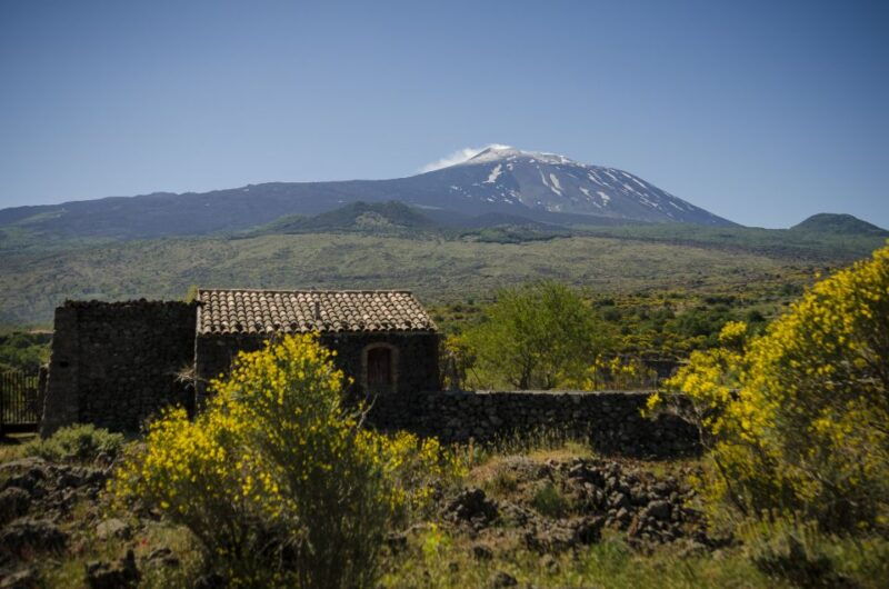old-sicily-and-etna-wine-tasting-tour-from-taormina