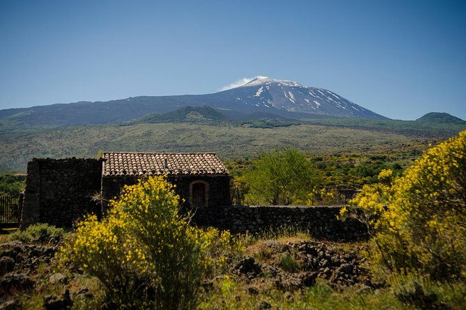 old-sicily-discovery-and-etna-wine-tasting-tour-from-taormina-2