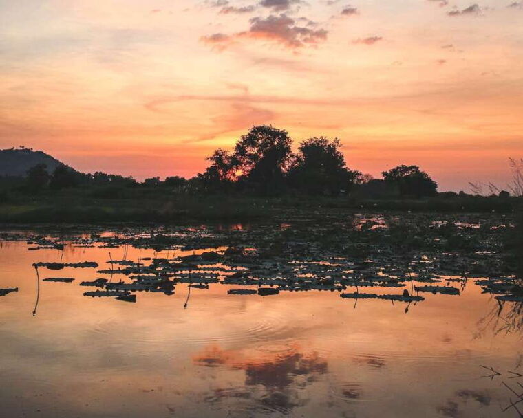 old-siem-reap-sunset-food-tour-by-tuk-tuk