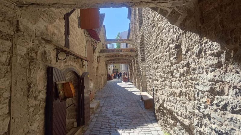 Old Tallinn Highlights & its Medieval Past - Introduction to the Old Tallinn Tour Experience