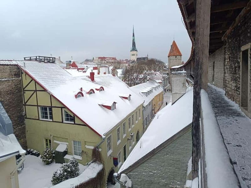 Old Tallinn & Medieval daily life Private Tour - Exploring Tallinn’s Medieval Heart: A Private Tour Review
