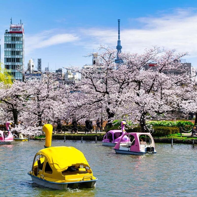 Old Tokyo Walk: Uenos Parks, Temples & Local Neighborhoods - Key Points