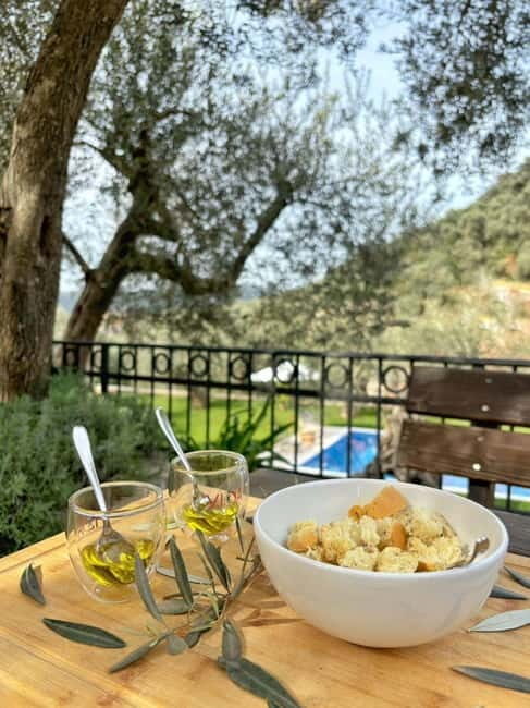 Old Town Bar, Old Olive Tree and the region of olive groves - Key Points