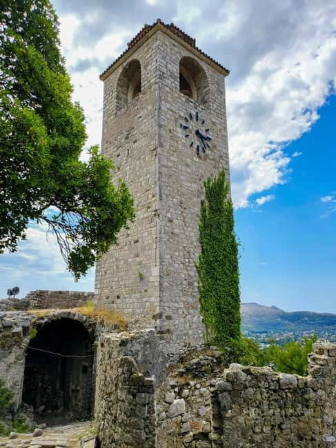 Old Town Bar, Old Olive Tree and the region of olive groves - Olive Oil Tasting and Culinary Experience