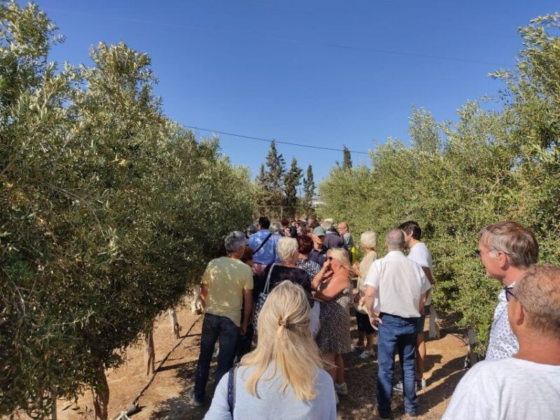 oleoalmanzora-guided-tour-olive-groves-and-evoo-facilities