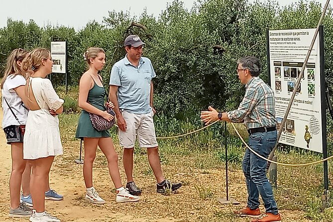 oleotourism-and-olive-oil-tasting-in-seville-private-tour