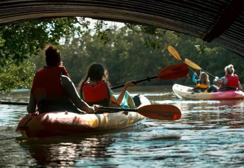 oleta-river-state-park-eco-kayak-or-paddleboard-tour