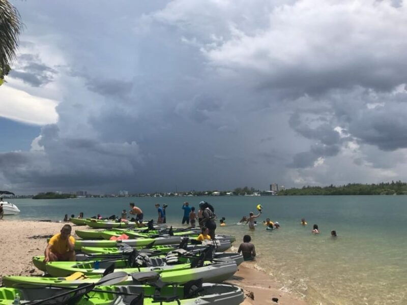 oleta-river-state-park-eco-kayak-or-paddleboard-tour