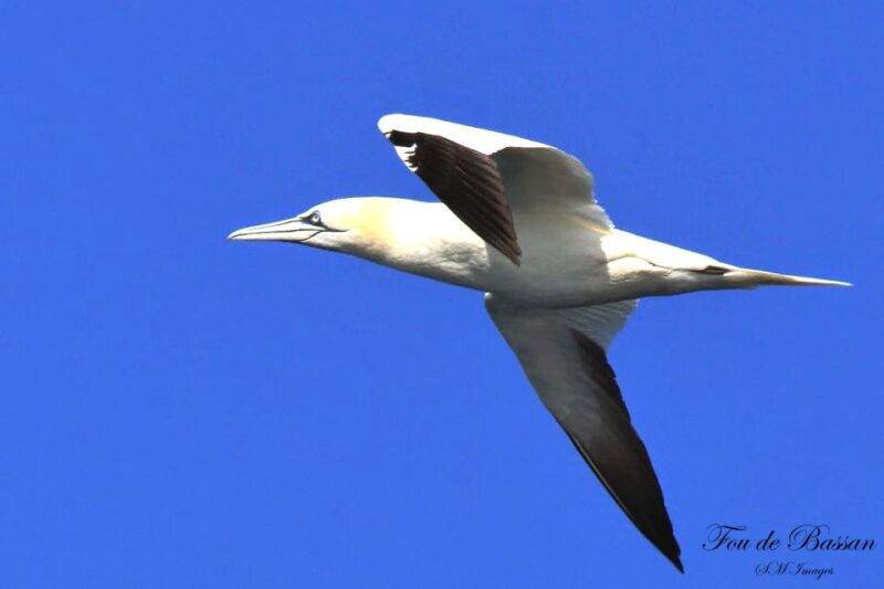 olhao-3-islands-guided-sightseeing-tour-with-lunch