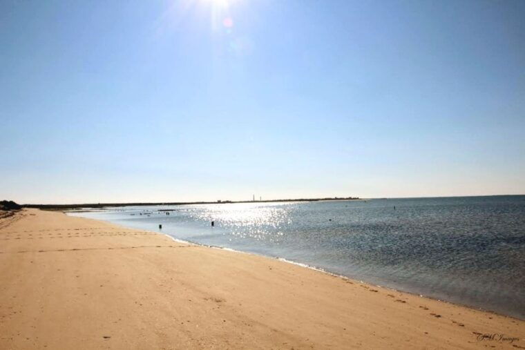 olhao-3-islands-guided-sightseeing-tour-with-lunch