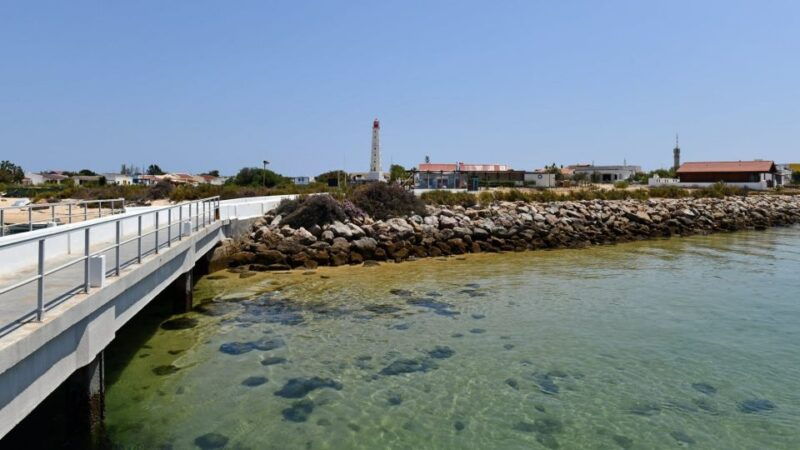 olhao-private-boat-tour-to-ria-formosa