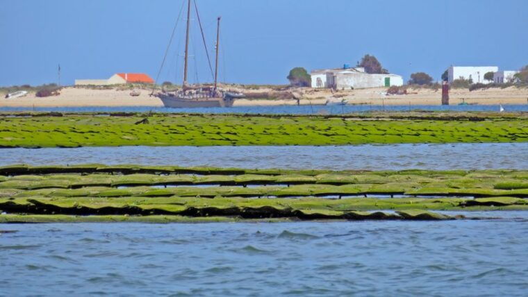 olhao-private-boat-tour-to-ria-formosa