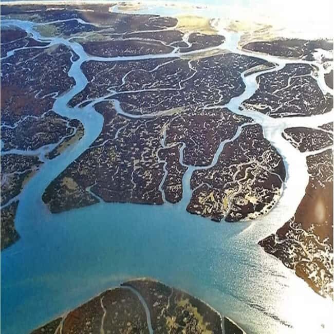 Olhão: Ria Formosa 2 Islands Boat Tour - Final Thoughts