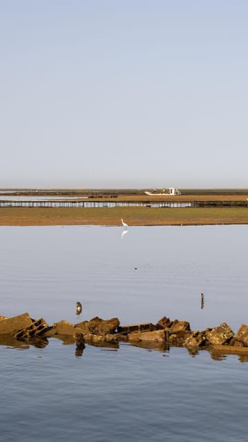 olhao-ria-formosa-boat-tour-with-oyster-tasting