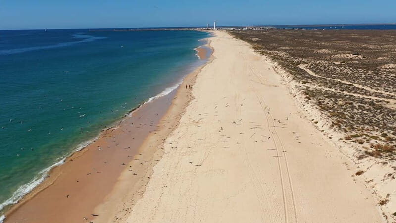 Olhão: Ria Formosa National Park Boat Cruise - Practical Tips for Your Trip