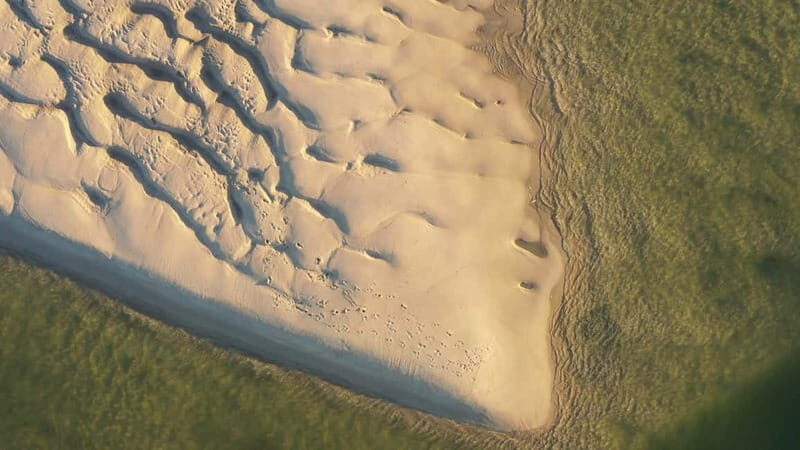 Olhão: Ria Formosa National Park Boat Cruise - Frequently Asked Questions