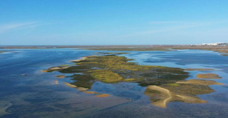 olhao-ria-formosa-national-park-boat-cruise