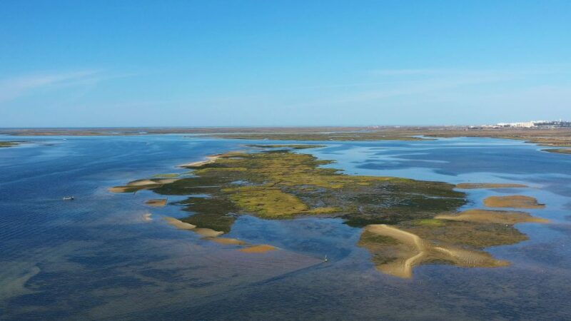 olhao-ria-formosa-national-park-boat-cruise