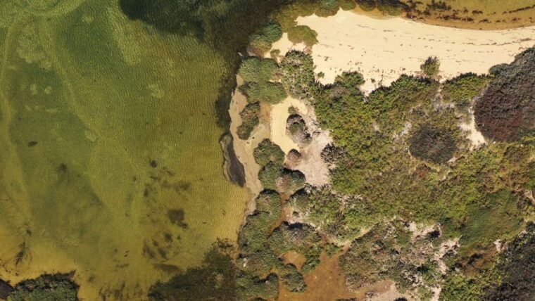 olhao-ria-formosa-national-park-boat-cruise