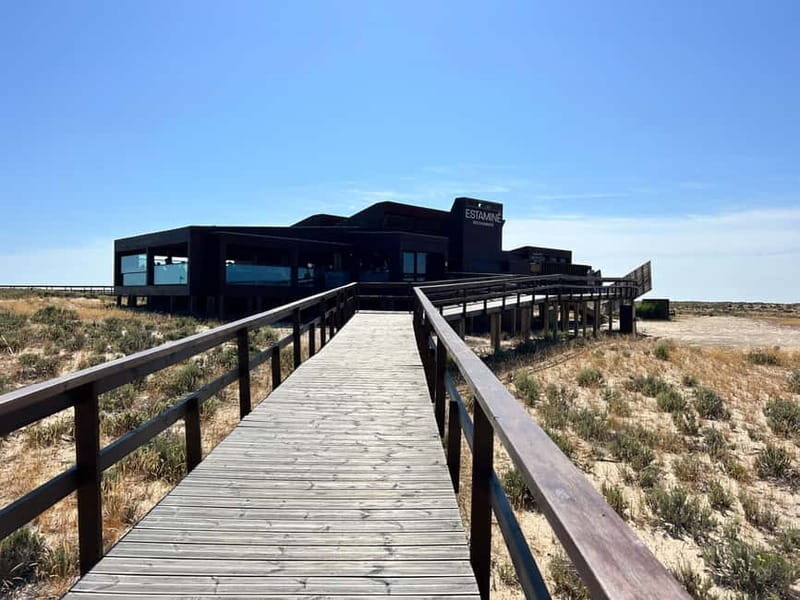 Olhão: Tour of the Ria Formosa Islands 5 hours tour - Practical Details: Transport, Timing, and Group Size